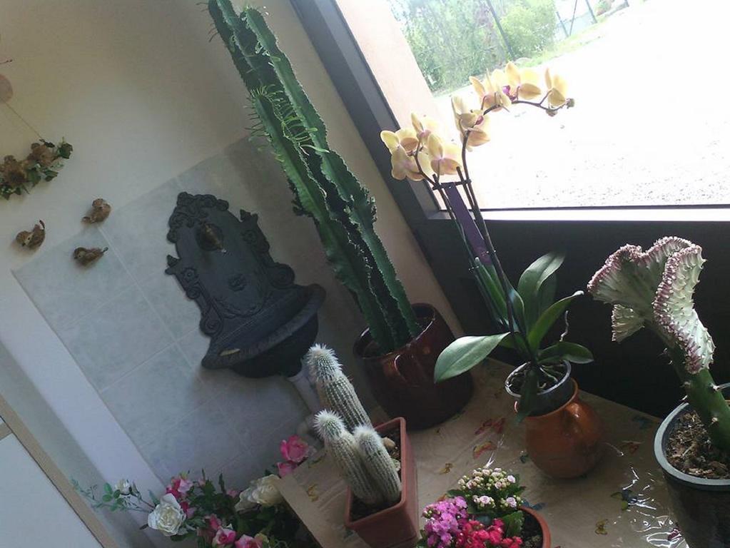 Il Cerchio Delle Fate Villa Torgiano Ngoại thất bức ảnh